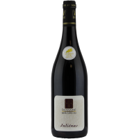 Photographie d'une bouteille de vin rouge julienas domaine bergeron aoc rouge 2024 75 cl