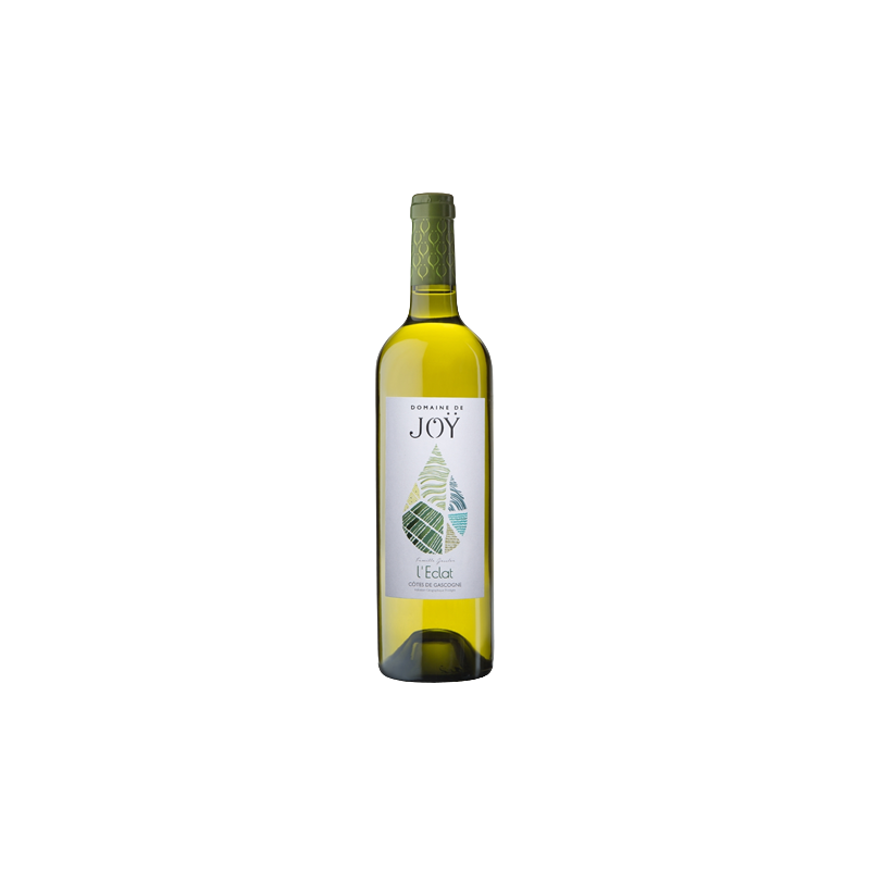 Photographie d'une bouteille de vin blanc DOMAINE DE JOY L'ECLAT SEC