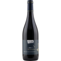 Photographie d'une bouteille de vin rouge St Nicolas de Bourgueil Mabileau Loire AOC Rouge 75 cl