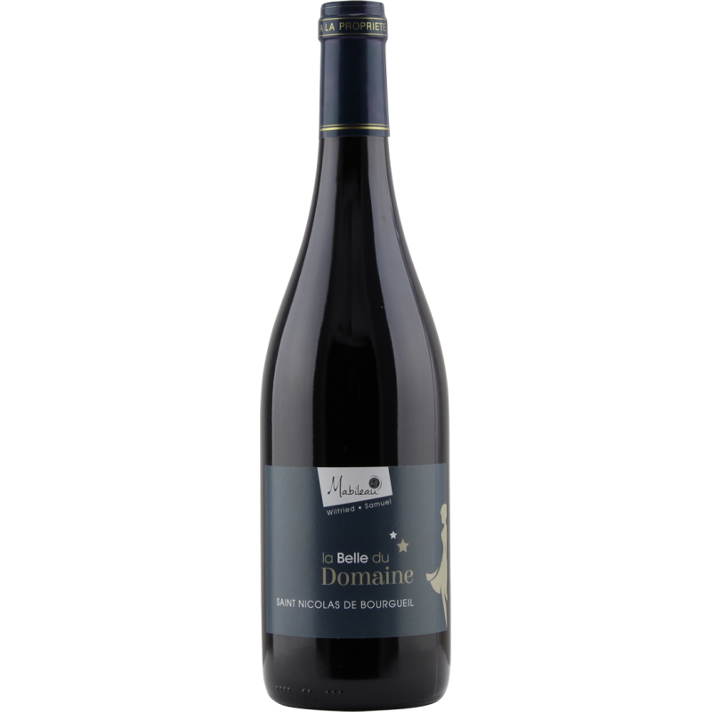 Photographie d'une bouteille de vin rouge St Nicolas de Bourgueil Mabileau Loire AOC Rouge 75 cl
