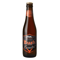 Photographie d'une bouteille de bière Bush Caractère Ambrée 33cl
