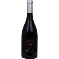 Photographie d'une bouteille de vin rouge A l'Infini Gamay Touraine AOC Bio Rouge 75 cl