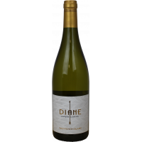 Photographie d'une bouteille de vin blanc diane sauvignon blanc entre deux mers aoc blanc 2020 75 cl