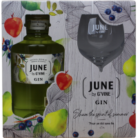 Photographie d'une bouteille de Coffret Gin June By G Vine Poire