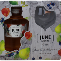 Photographie d'une bouteille de Coffret Gin June By G Vine Pêche