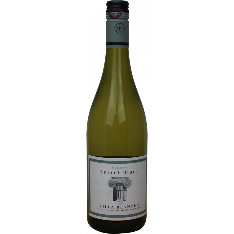 Photographie d'une bouteille de vin blanc terret blanc villa blanche igp blanc 2021 75 cl