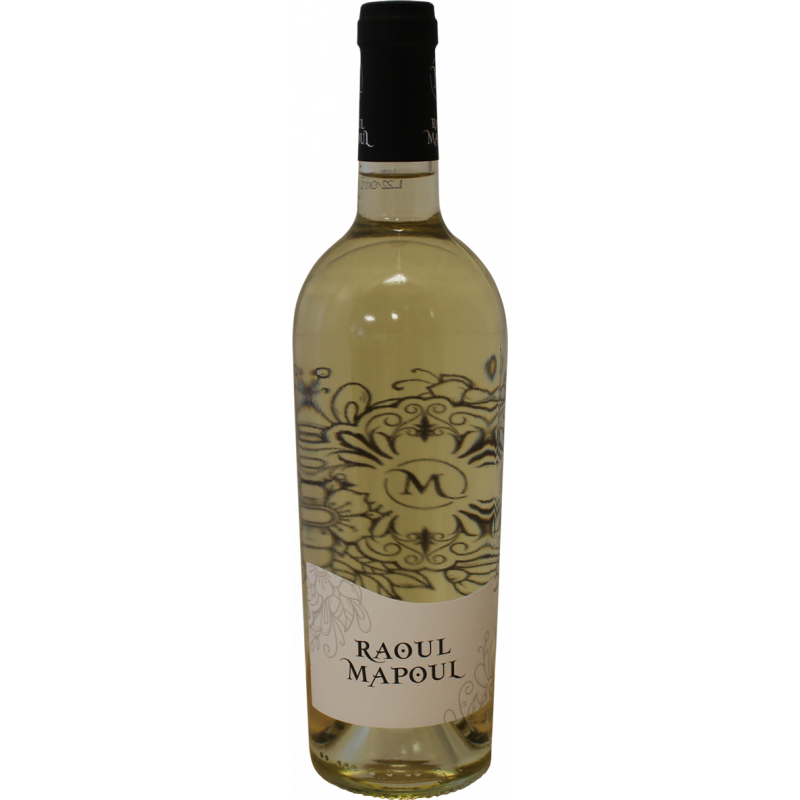 Photographie d'une bouteille de vin blanc raoul mapoul blanc 75 cl