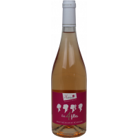 Photographie d'une bouteille de vin rosé Saint Nicolas de Bourgueil Rosé