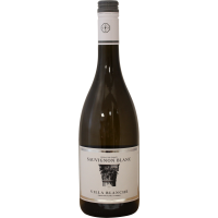 Photographie d'une bouteille de vin blanc sauvignon blanc villa blanche igp blanc 75 cl