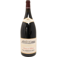 Photographie d'une bouteille de vin rouge Crozes Hermitage Domaine Thalabert AOC