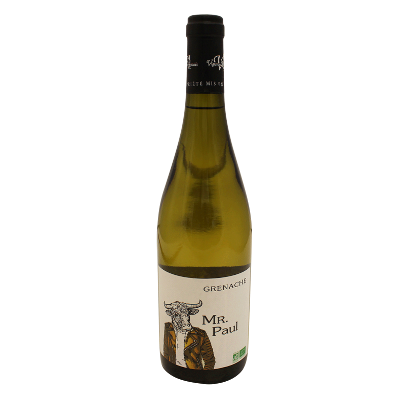 Photographie d'une bouteille de vin blanc monsieur paul bio blanc 75 cl