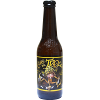 Photographie d'une bouteille de bière cuvee des trolls