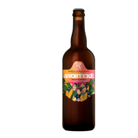 Photographie d'une bouteille de bière Anosteké Freestyle 16 Rye IPA 75cl