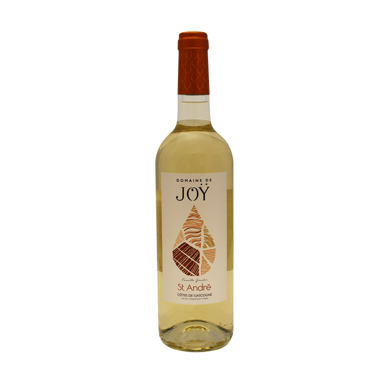 Photographie d'une bouteille de vin blanc Domaine de Joy St-André Doux IGP Blanc 75 cl