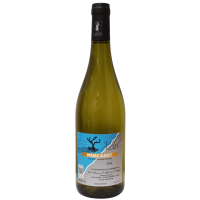 Photographie d'une bouteille de vin blanc MUSCADET L'EXCLU
