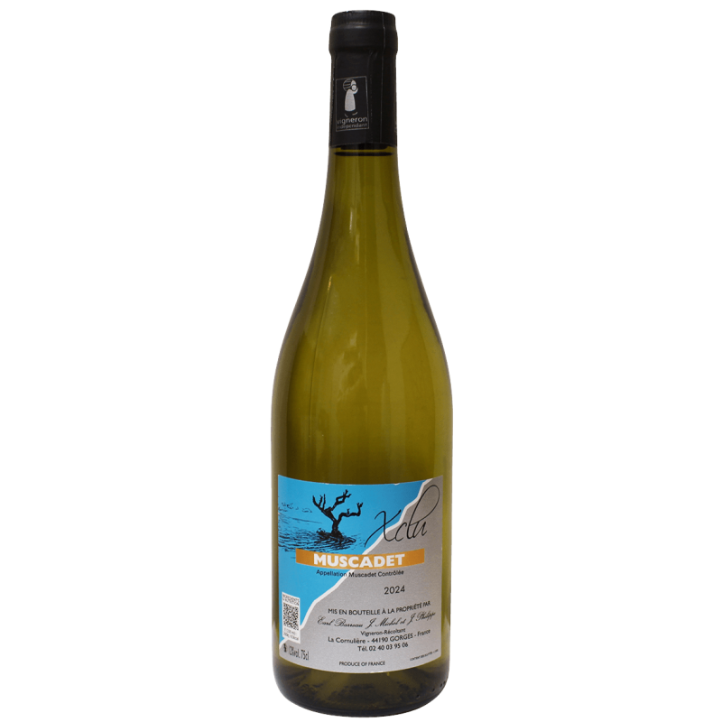 Photographie d'une bouteille de vin blanc MUSCADET L'EXCLU