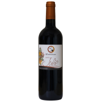 Photographie d'une bouteille de vin rouge domaine d'embidoure cuvee julie igp rouge 2023 75 cl