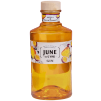 Photographie d'une bouteille de Gin June By G Vine Mangue Passion 70 cl