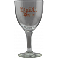 Verre Kapittel Watou 25 cl