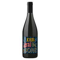 Photographie d'une bouteille de vin rouge Un jour je serai une icone 75 cl