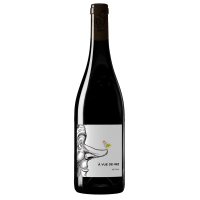 Photographie d'une bouteille de vin rouge A vue de nez Jeff Carrel 75 cl