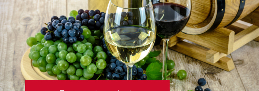 Tout savoir sur le vin