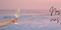 Nos bières et nos vins pour un été réussi !